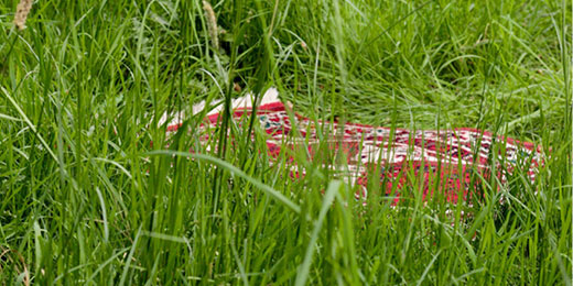 „Jung, muslimisch, deutsch – normal!“