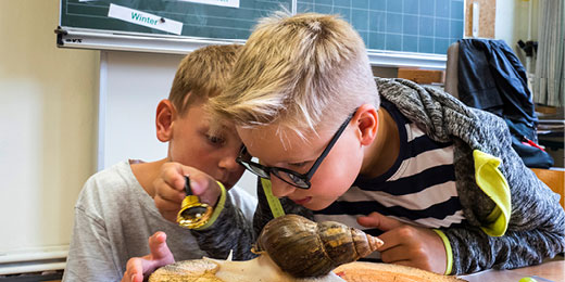 Jahresberichte für die Evangelische Schulstiftung