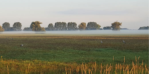 Heimatjahrbuch Teltow-Fläming