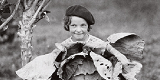 Fotojournale Edition Frölich