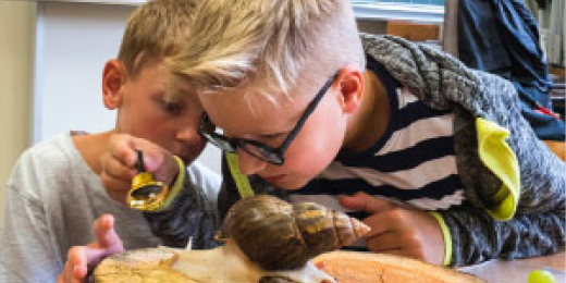 Jahresberichte für die Evangelische Schulstiftung