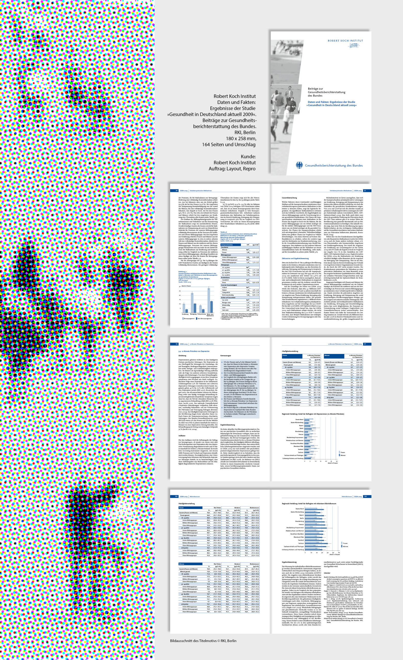 Robert Koch Institut, Layout, Repro