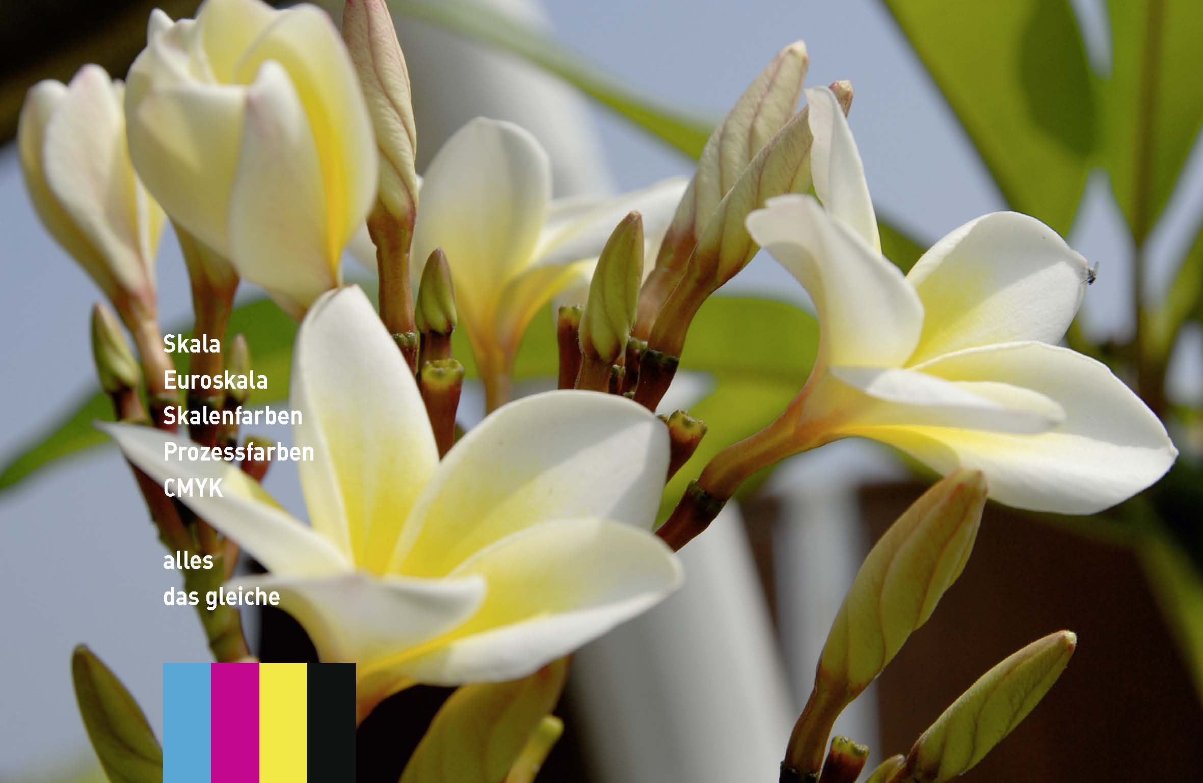 handinhandbuch – Das kleine Einmaleins der Druckvorstufe
© Satzinform Christoph Holzki