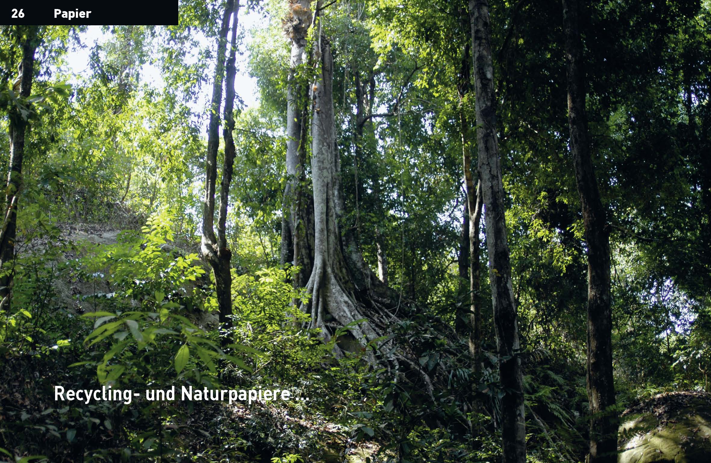 handinhandbuch – Das kleine Einmaleins der Druckvorstufe
© Satzinform Christoph Holzki